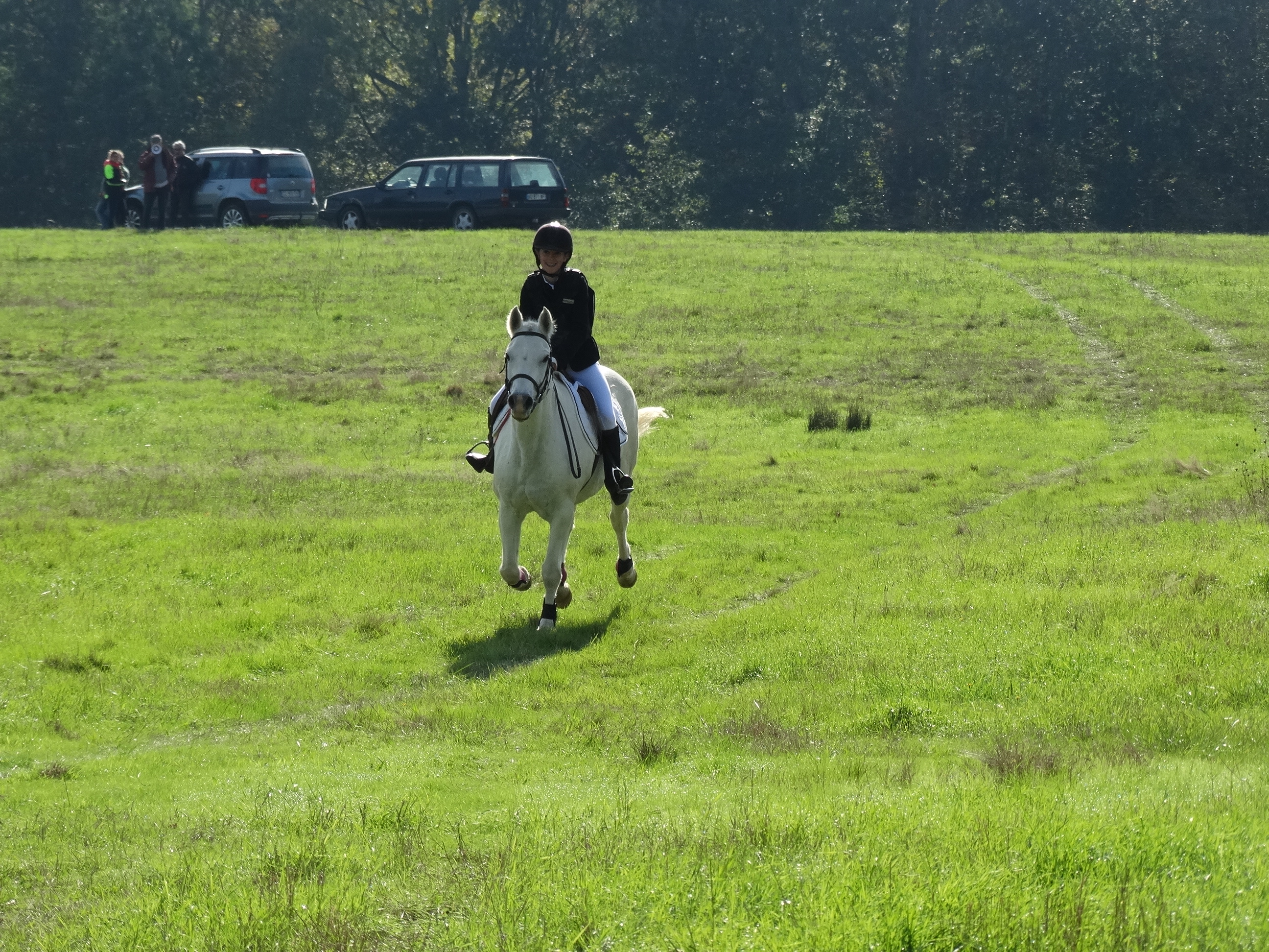 Dsc03050