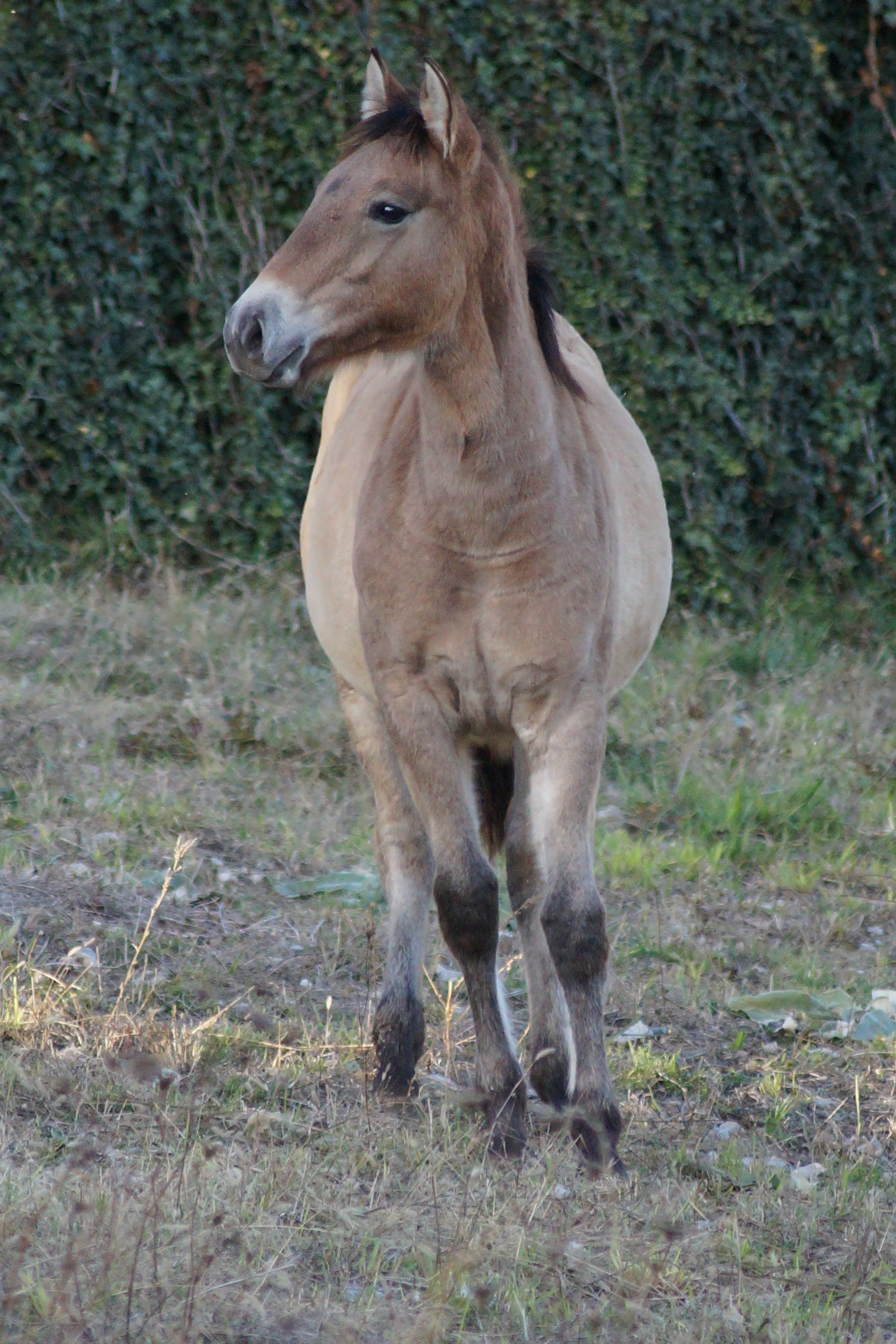 Dsc00359