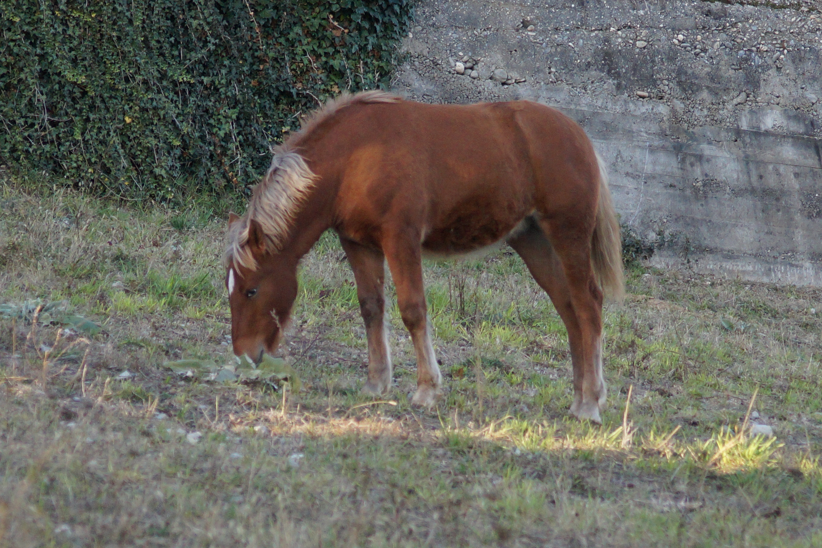 Dsc00371