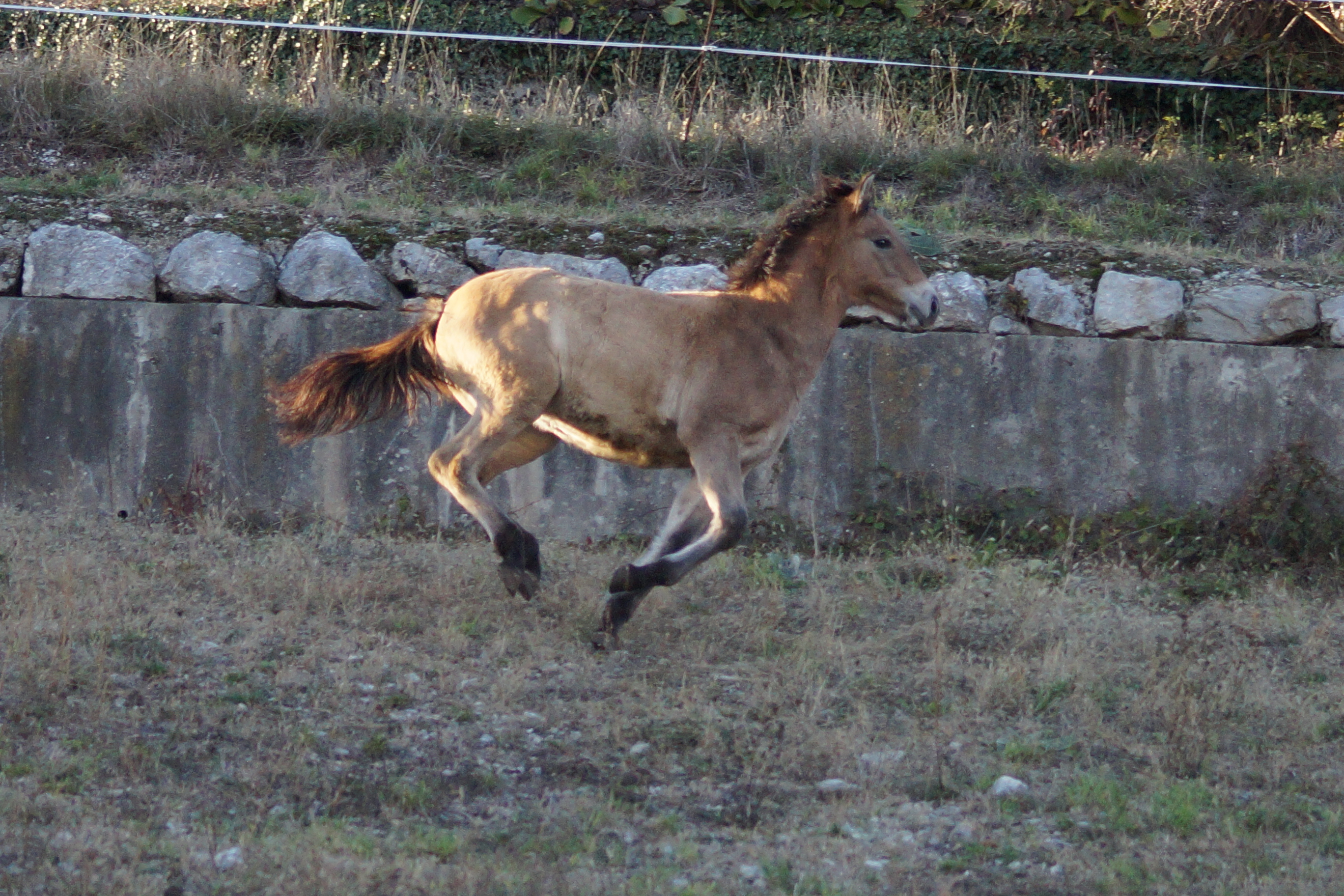 Dsc00384