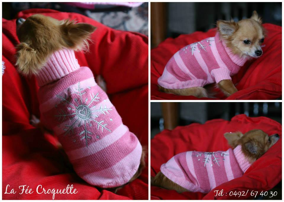 15202621 711643238999242 7502882764590238196 n 1 