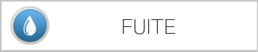logo fuite 
