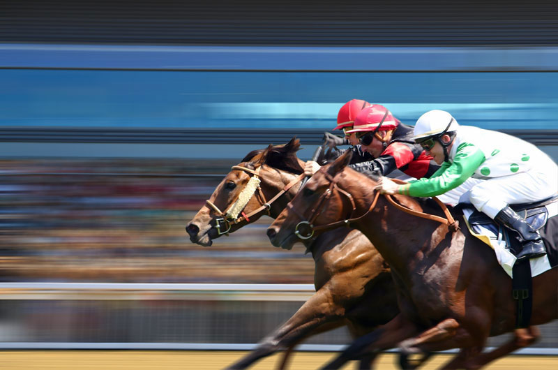 Comment miser aux courses hippiques