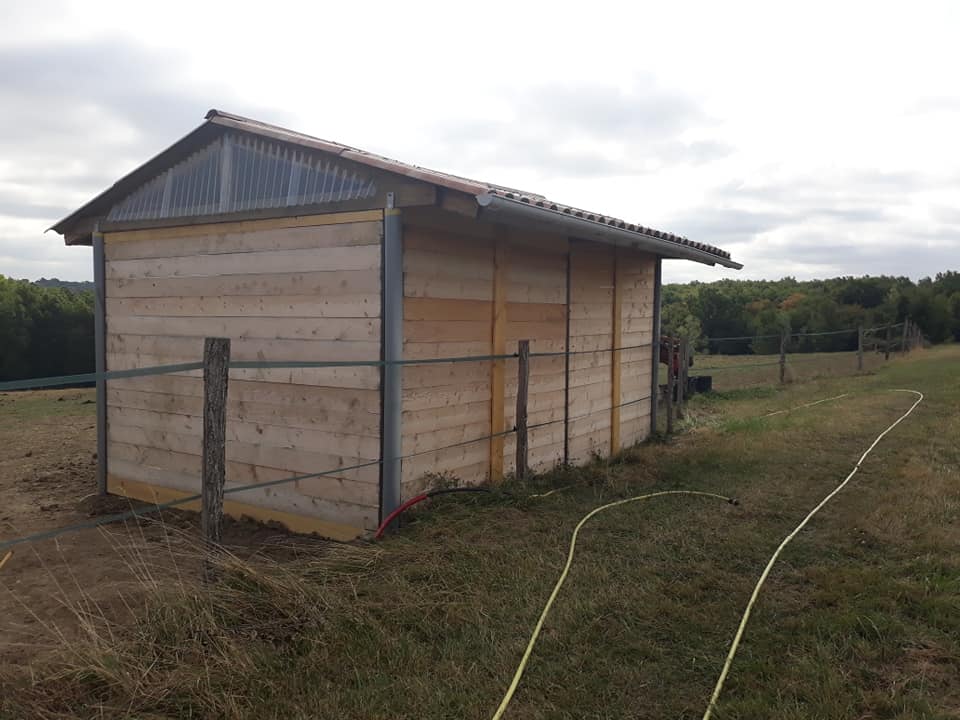 Cabane