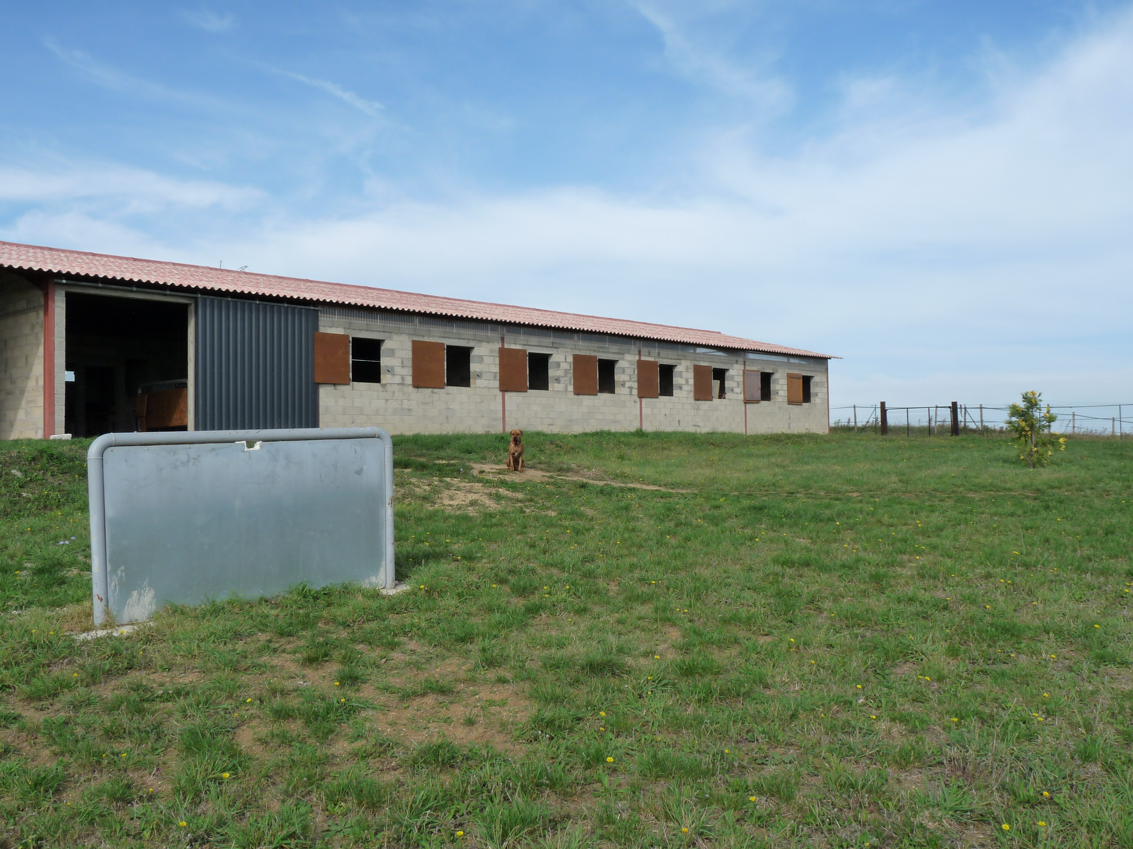 P1220575