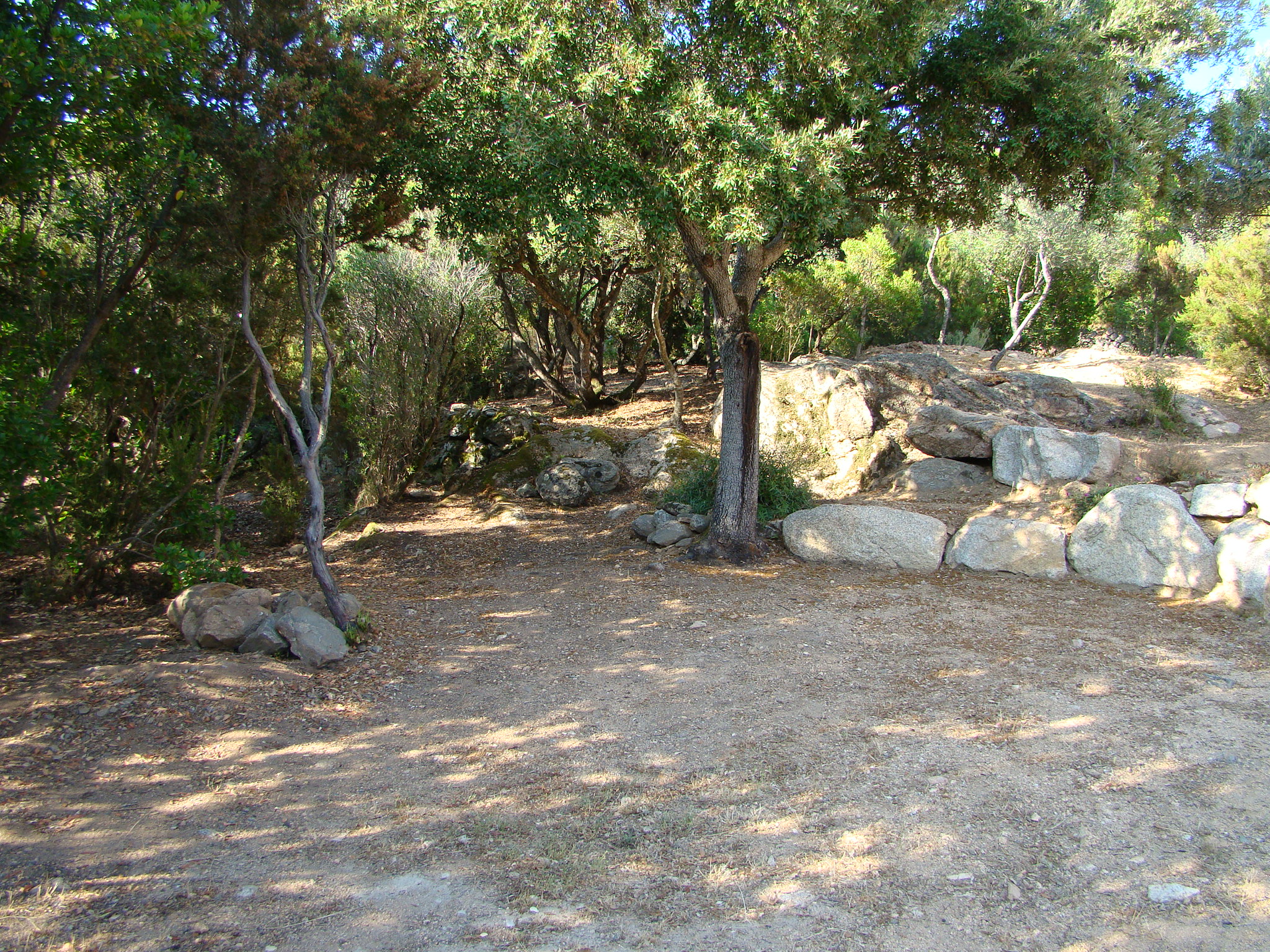 Location plages calme maquis