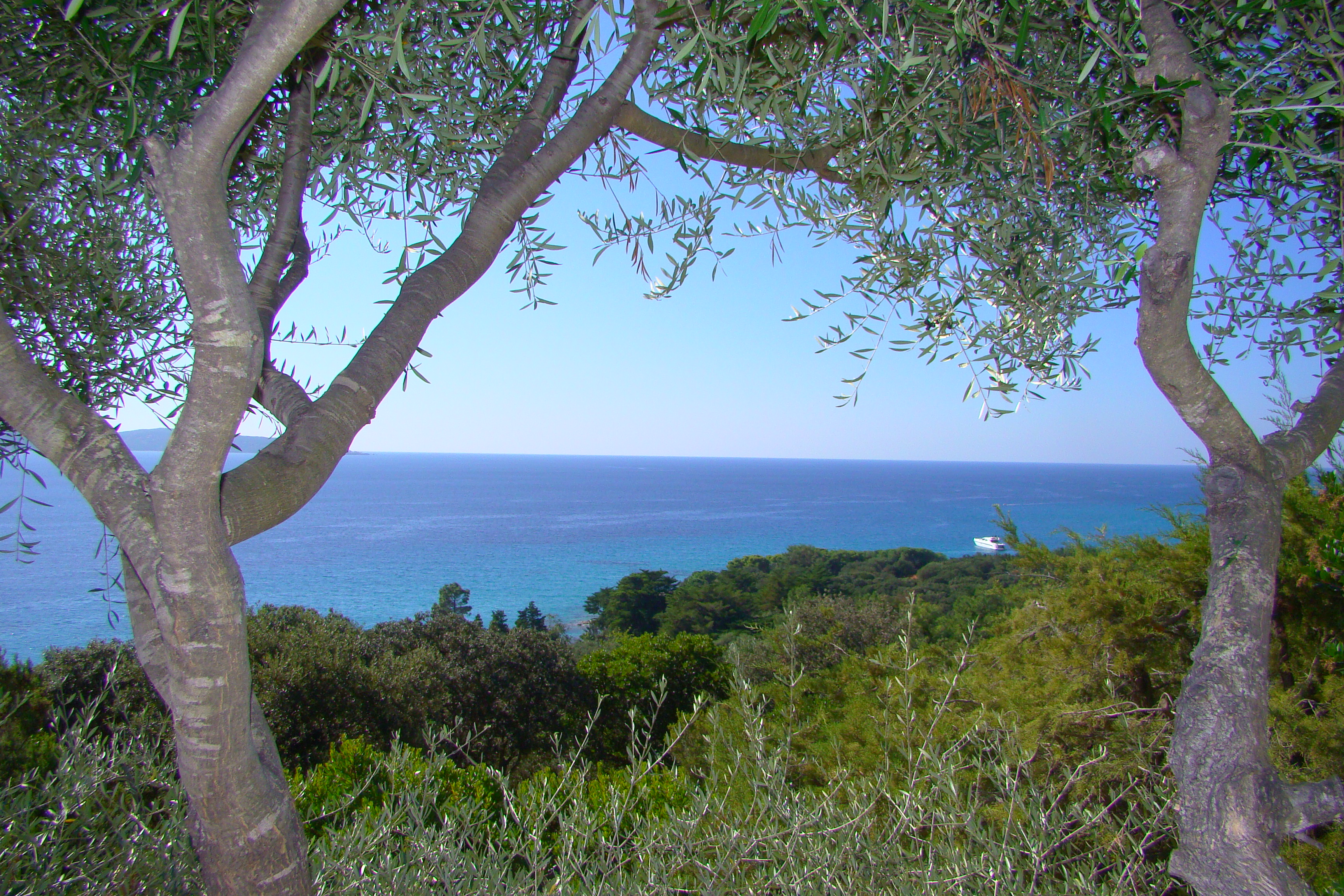 Villa vue mer propriano