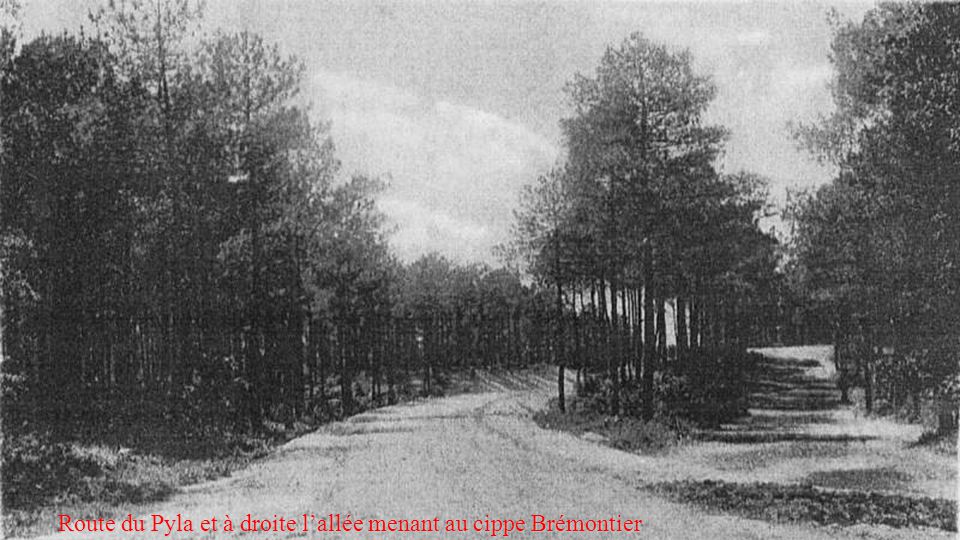 Route du Pyla et a droite l allee menant au cippe Bremontier