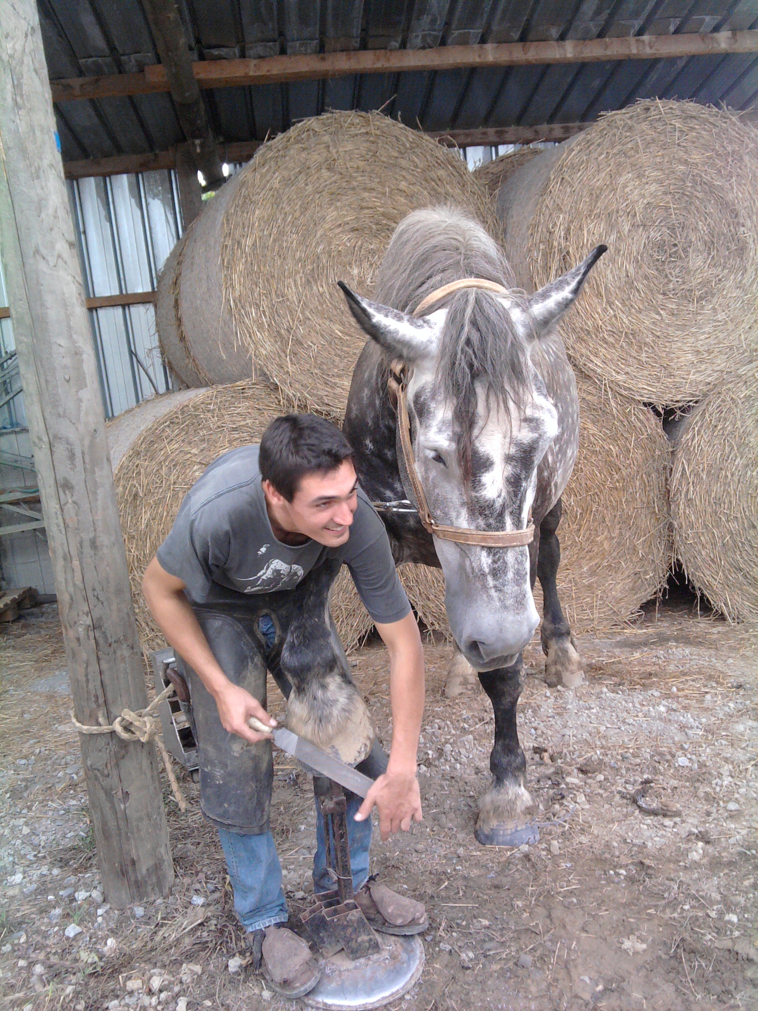 Photo0aj