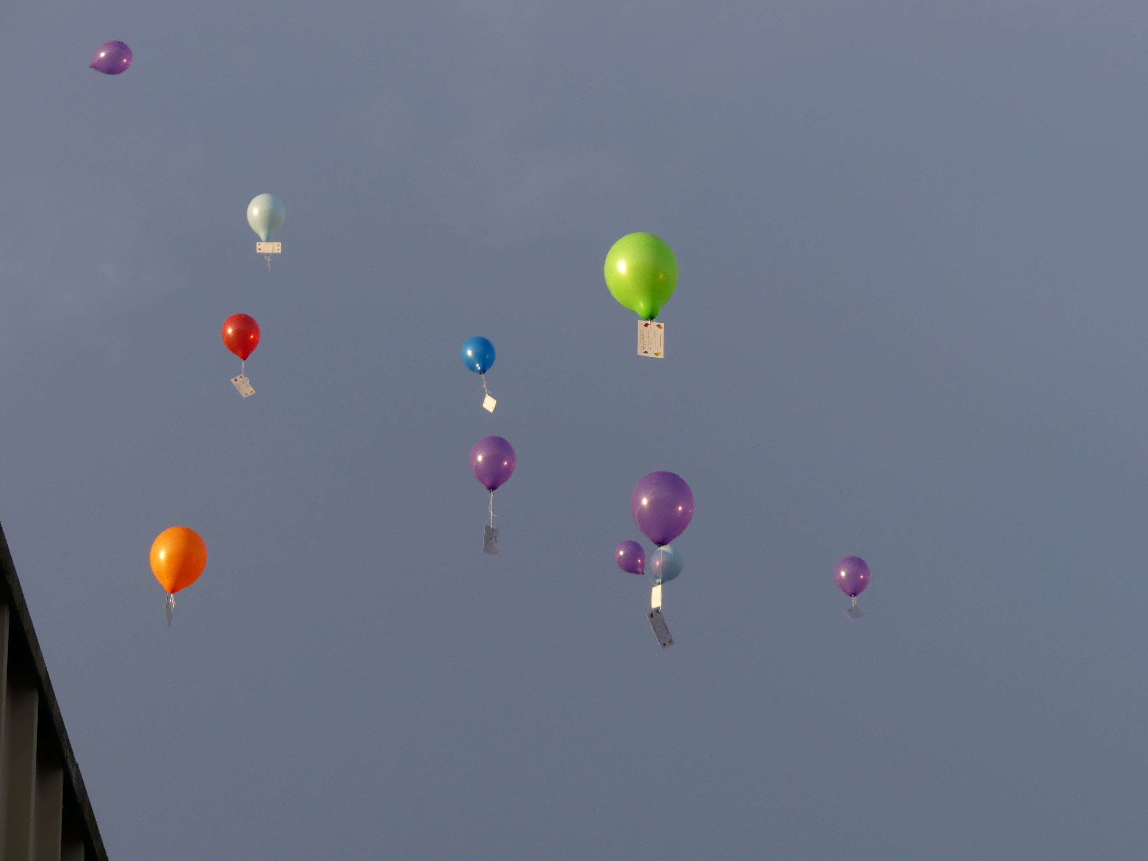 P1000190