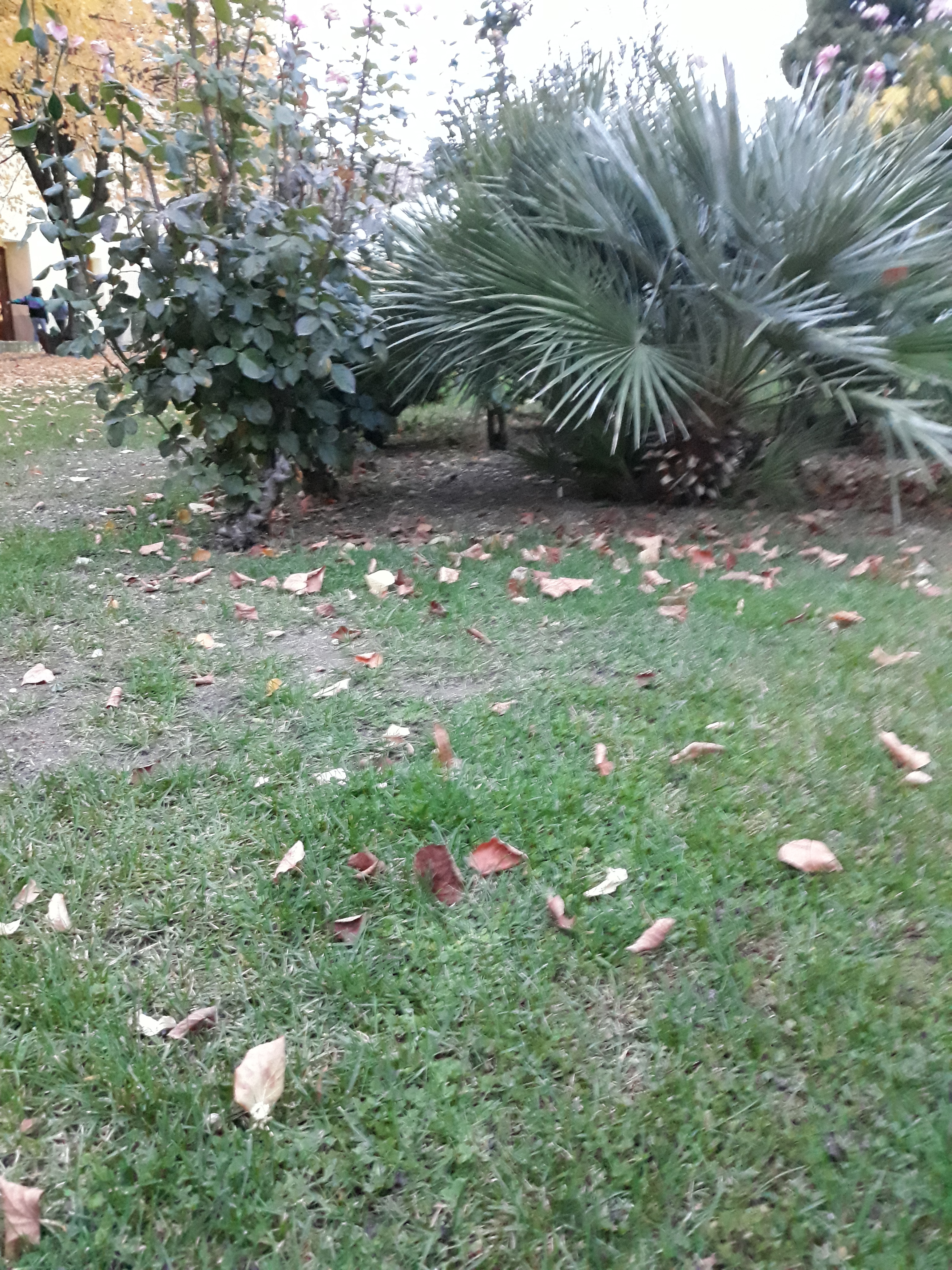 20181109 180046