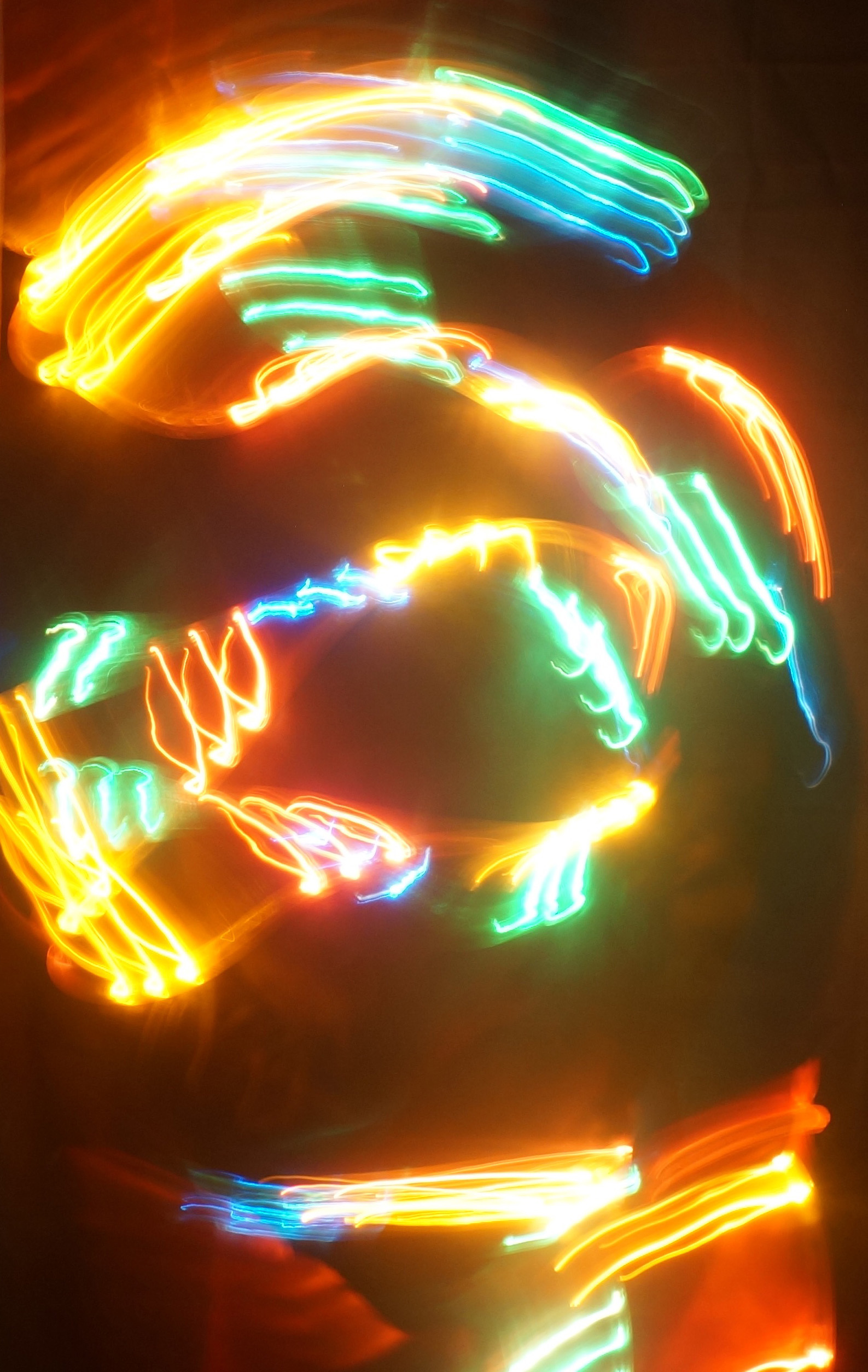 DSC03653