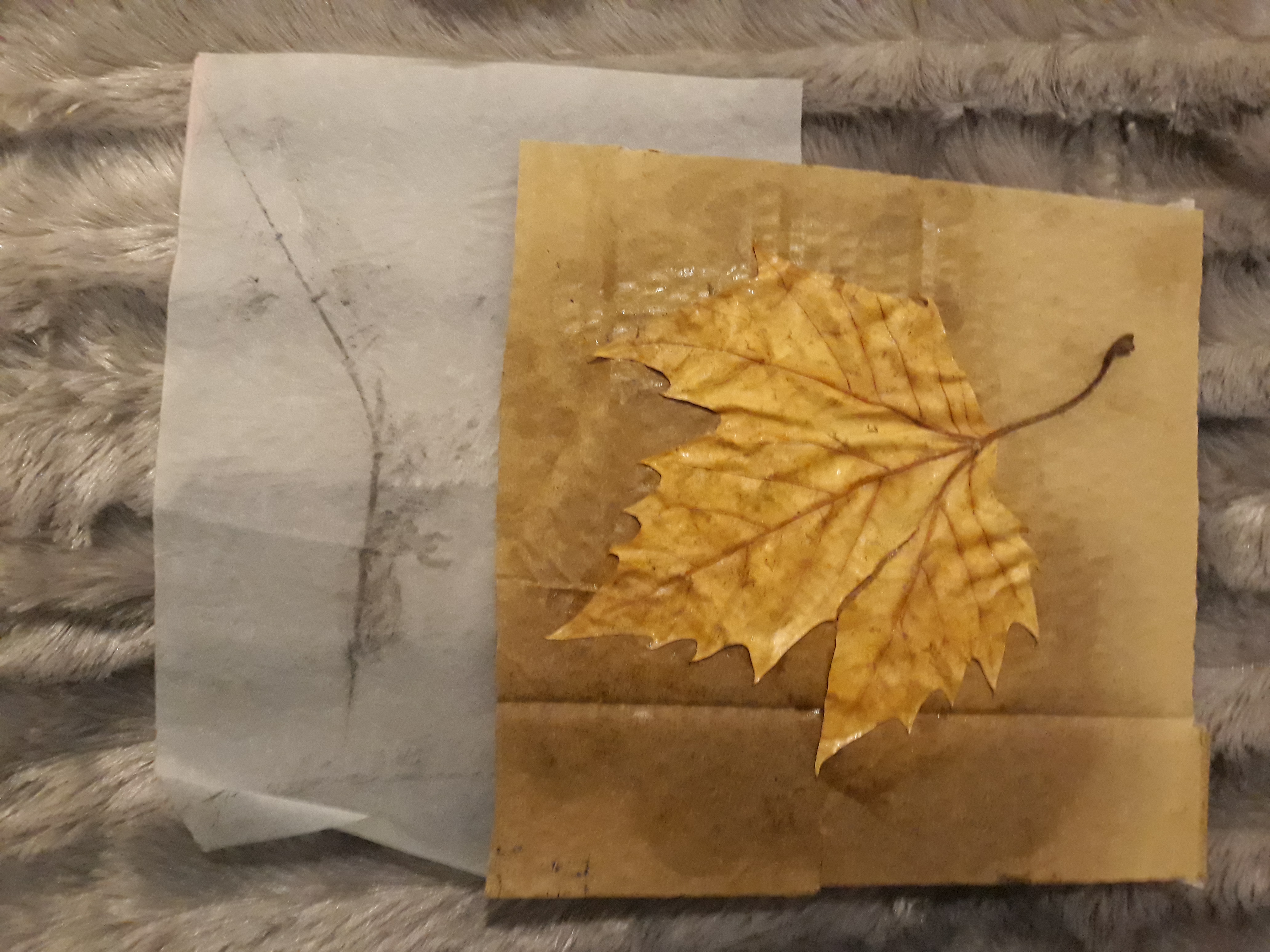 20181211 200027