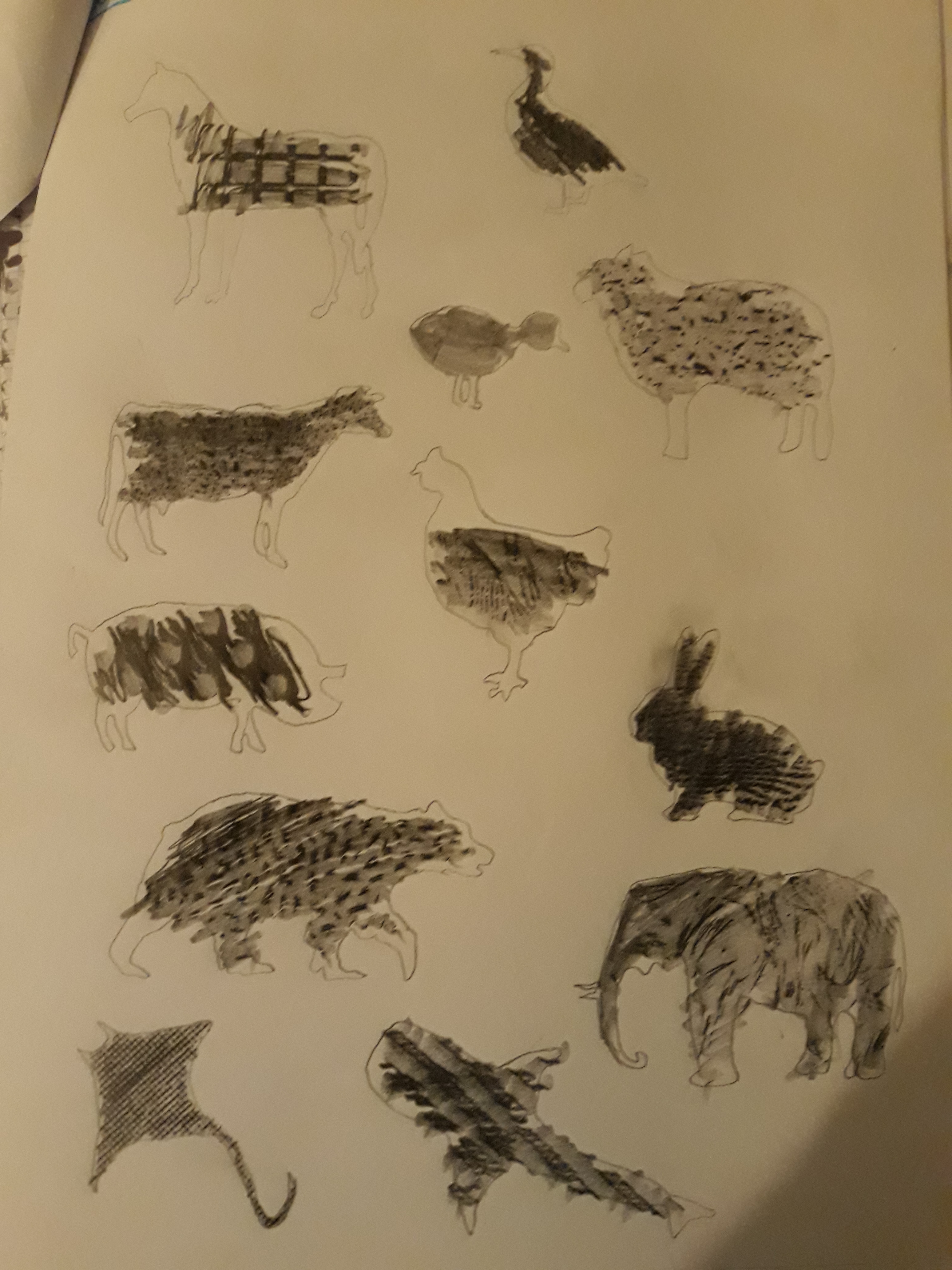 20181211 222518