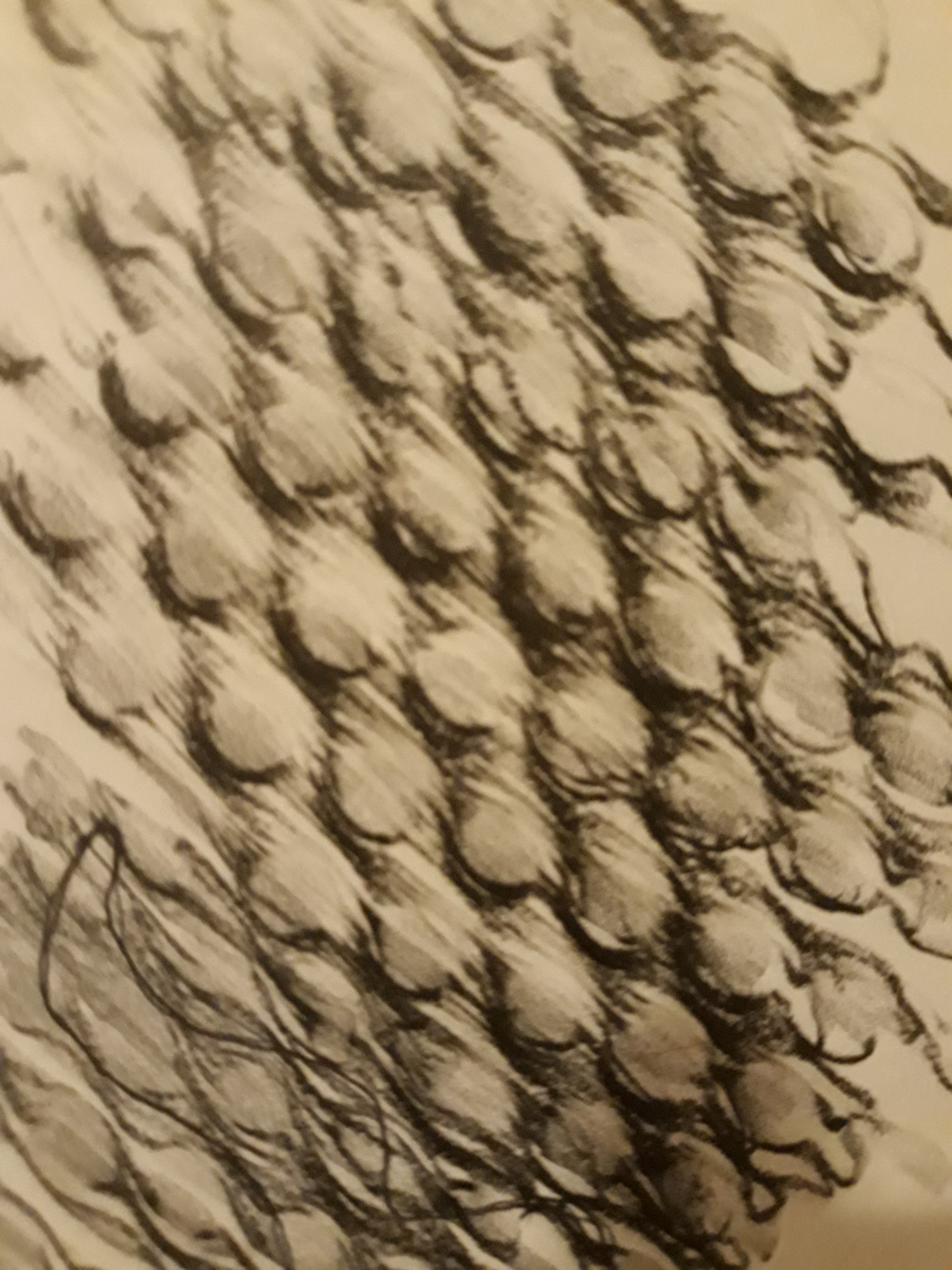20181211 222801