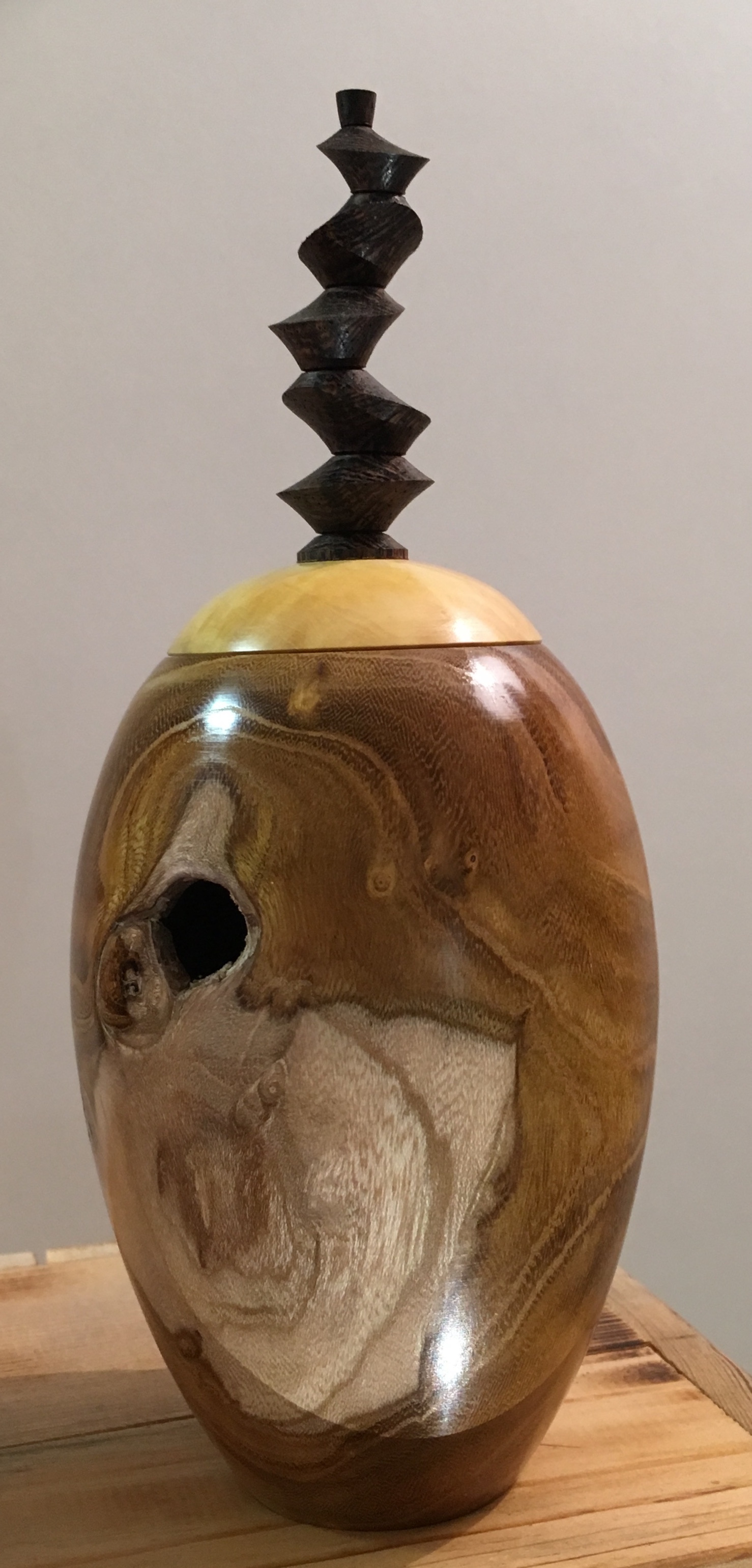 Vase en cytise 