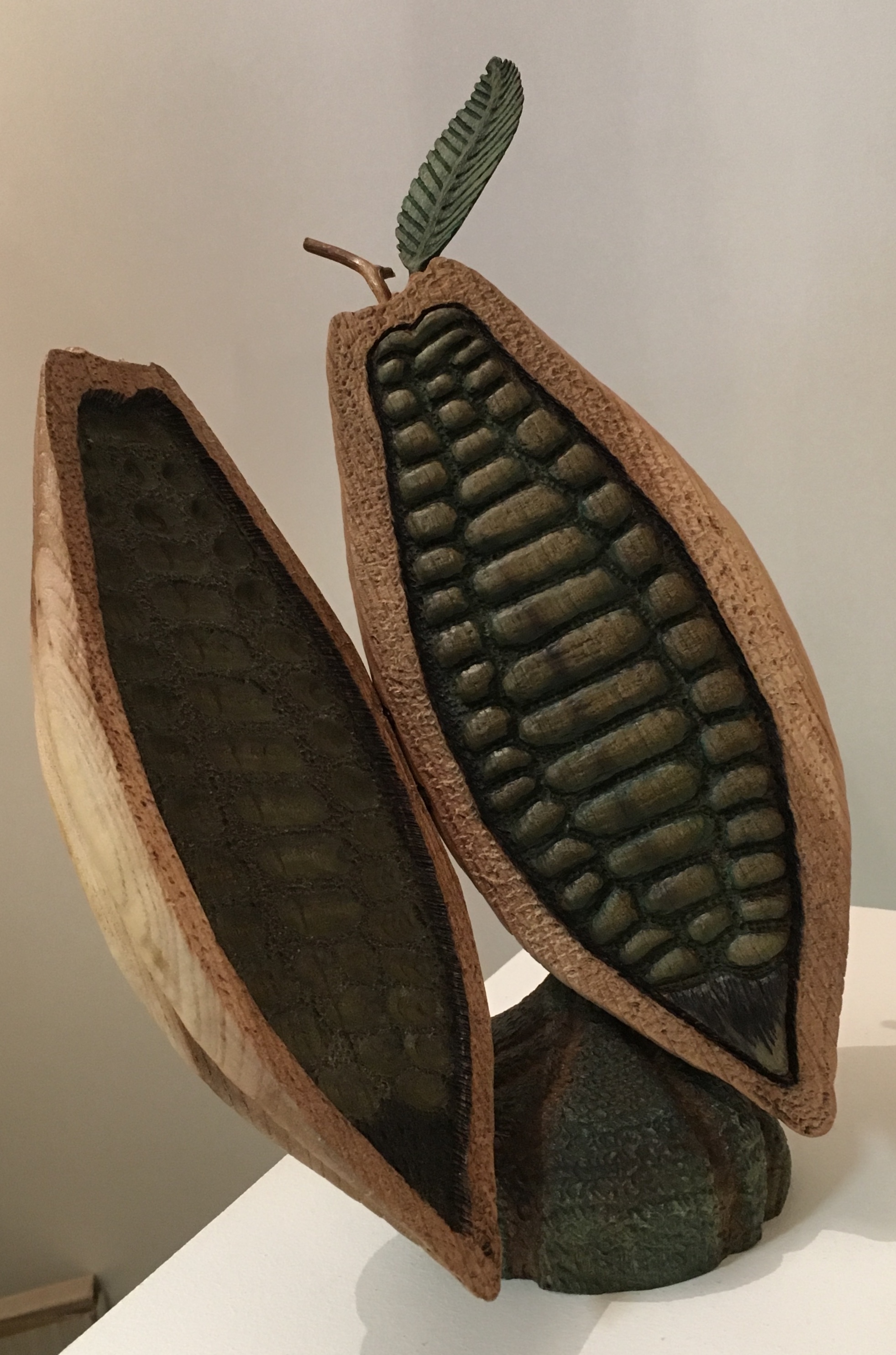Cabosse de cacao