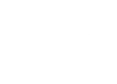 logo n&b bouteloup architecture