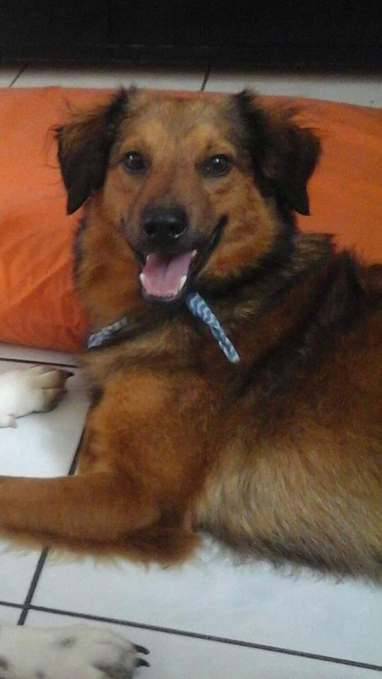 Rox