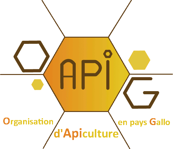 Logo o apig retouche avec texte decale