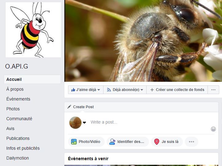 Facebook