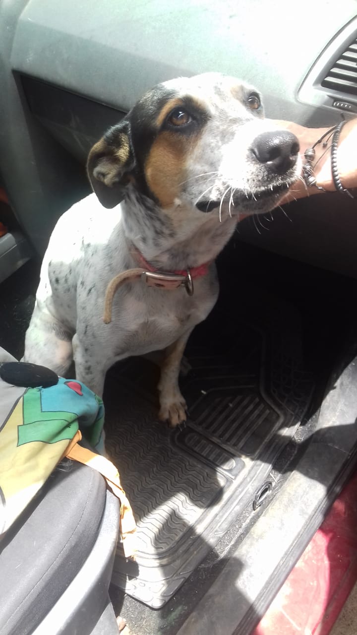 Maya