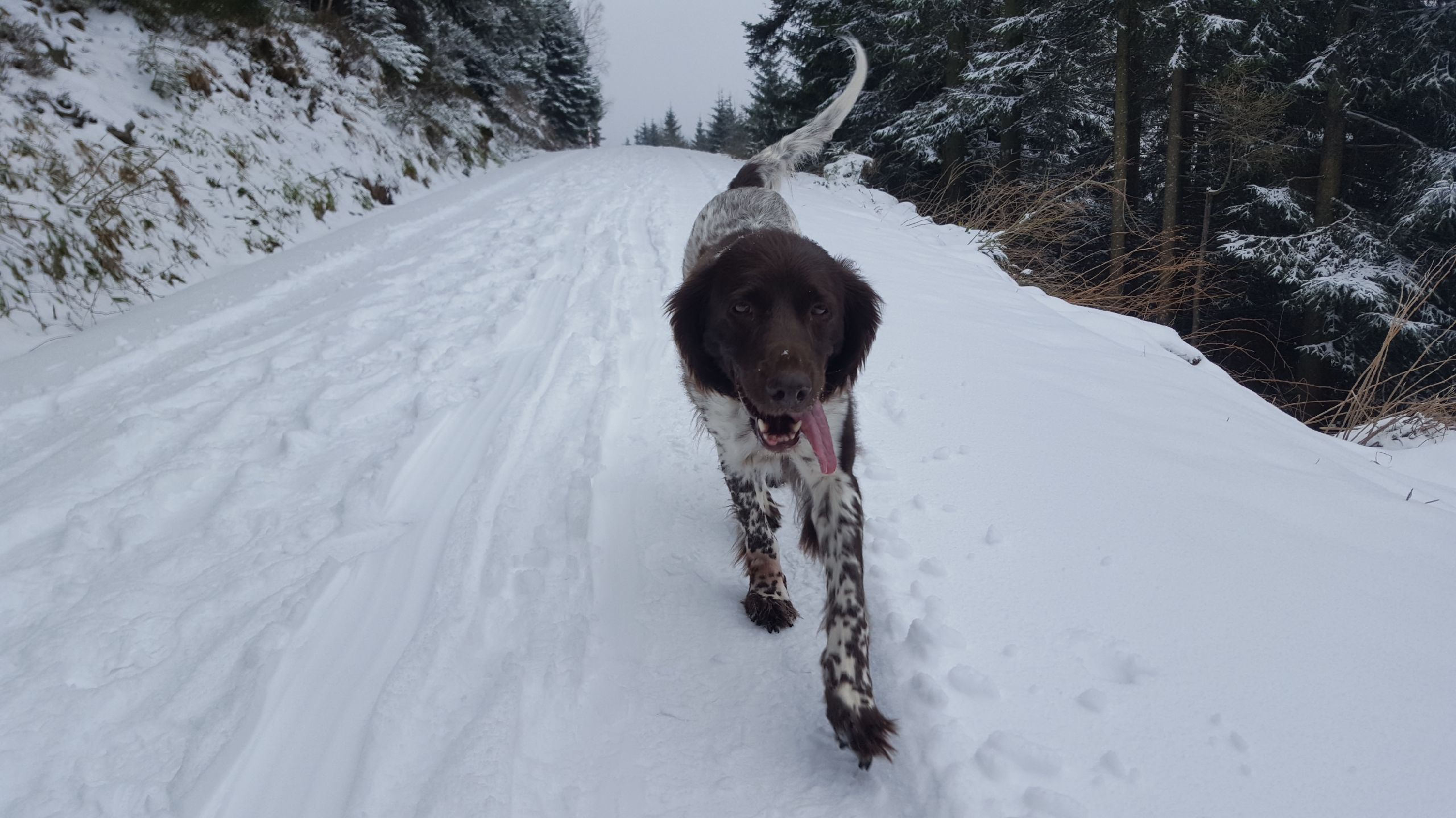 Resized 20180318 161351