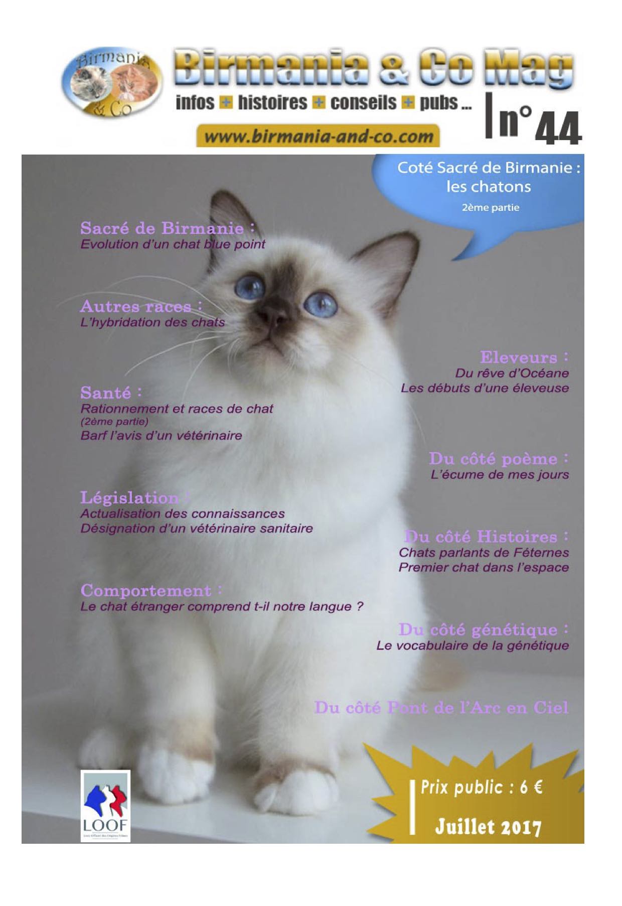 44 copie