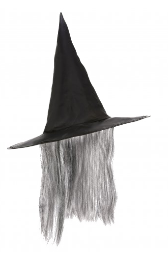 Chapeau de sorciere avec cheveux gris