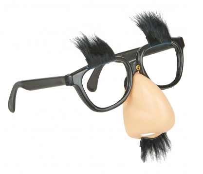 Lunette nez moustache