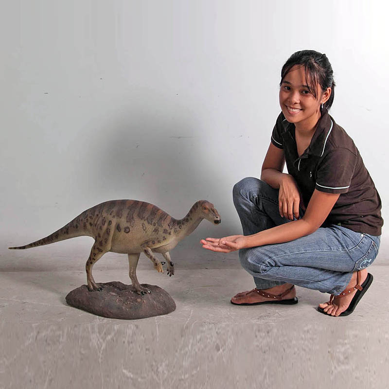 Bebe iguanodon nlc deco 3
