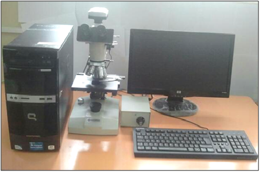 Microscope optique