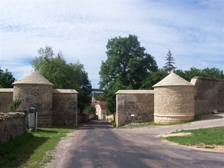 Salives 55 