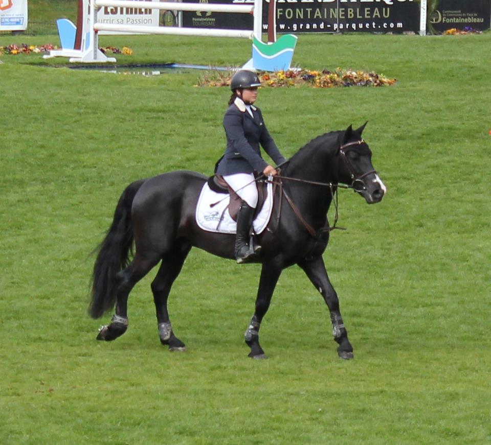 Nanour modele monte