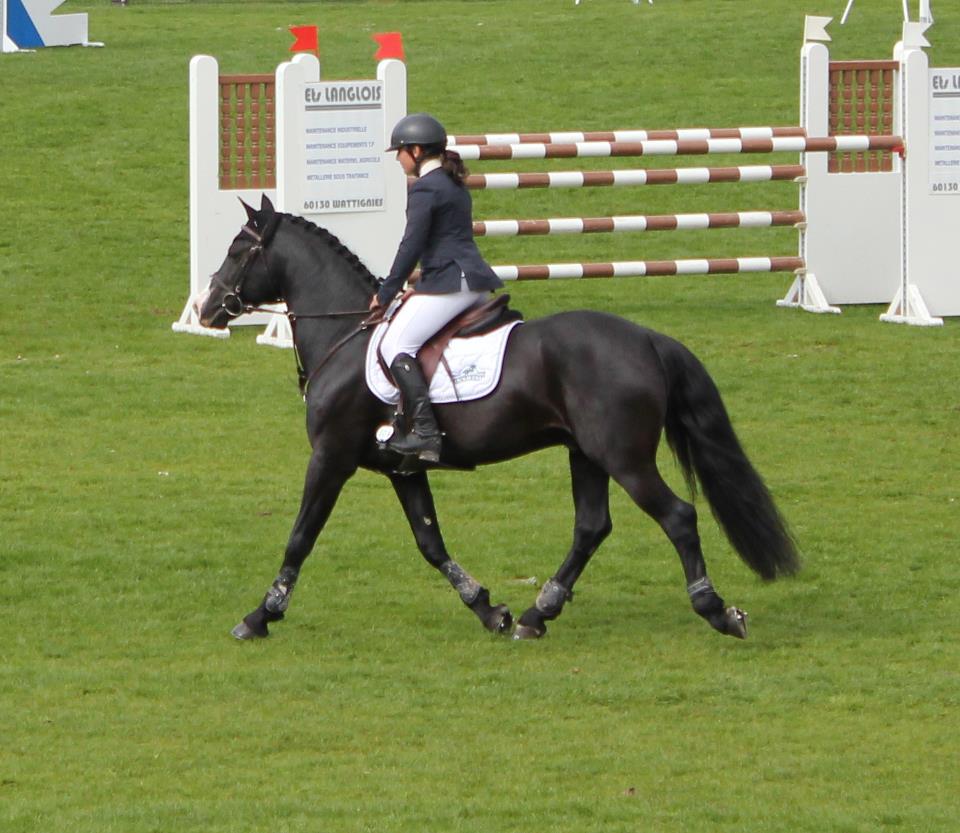 Nanour au trot