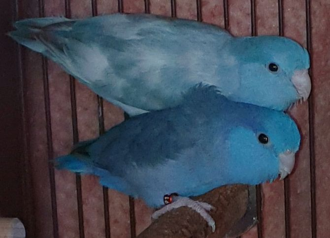 I285415639425244284 szw1280h1280 