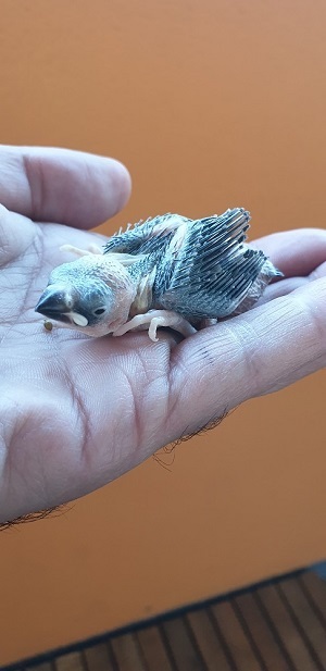 I285415639425448007 szw1280h1280 