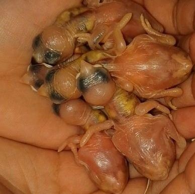 I285415639425252197 szw1280h1280 