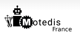 Mote