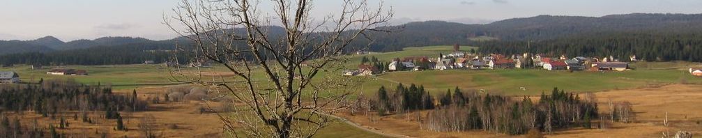 entretien d'appareils de chauffage à bois dans le Jura et le Doubs