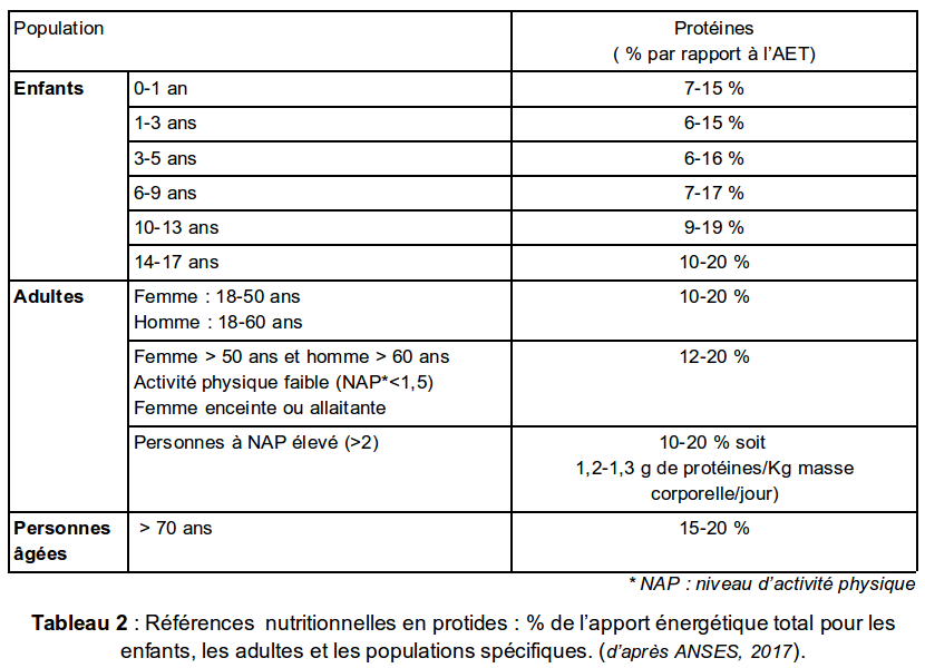 Table2 ANSES protides