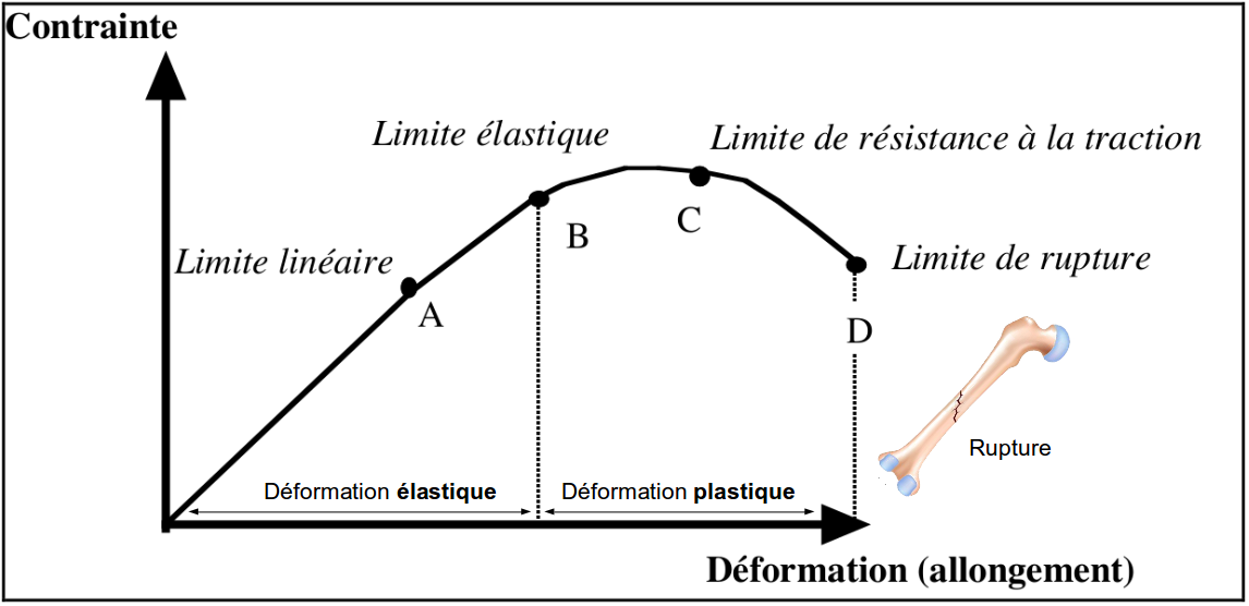 Deformation elastic plastic