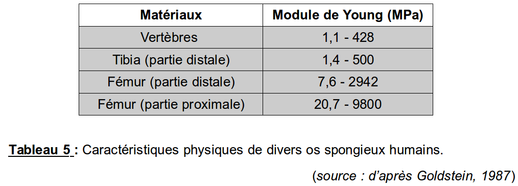 Os spongieux valeurs deYoung