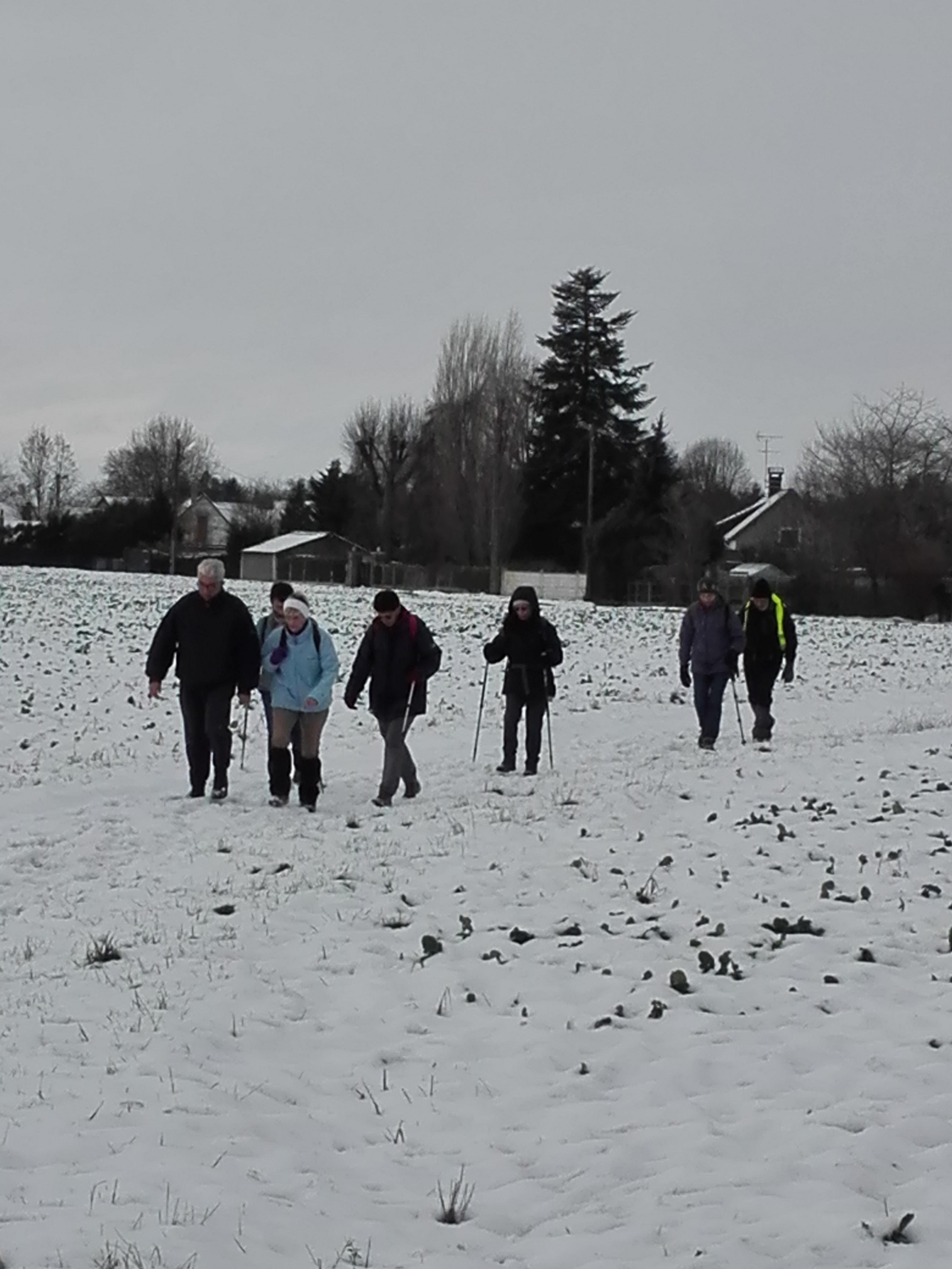 Sortie hebdo epieds 31 01 2019 2