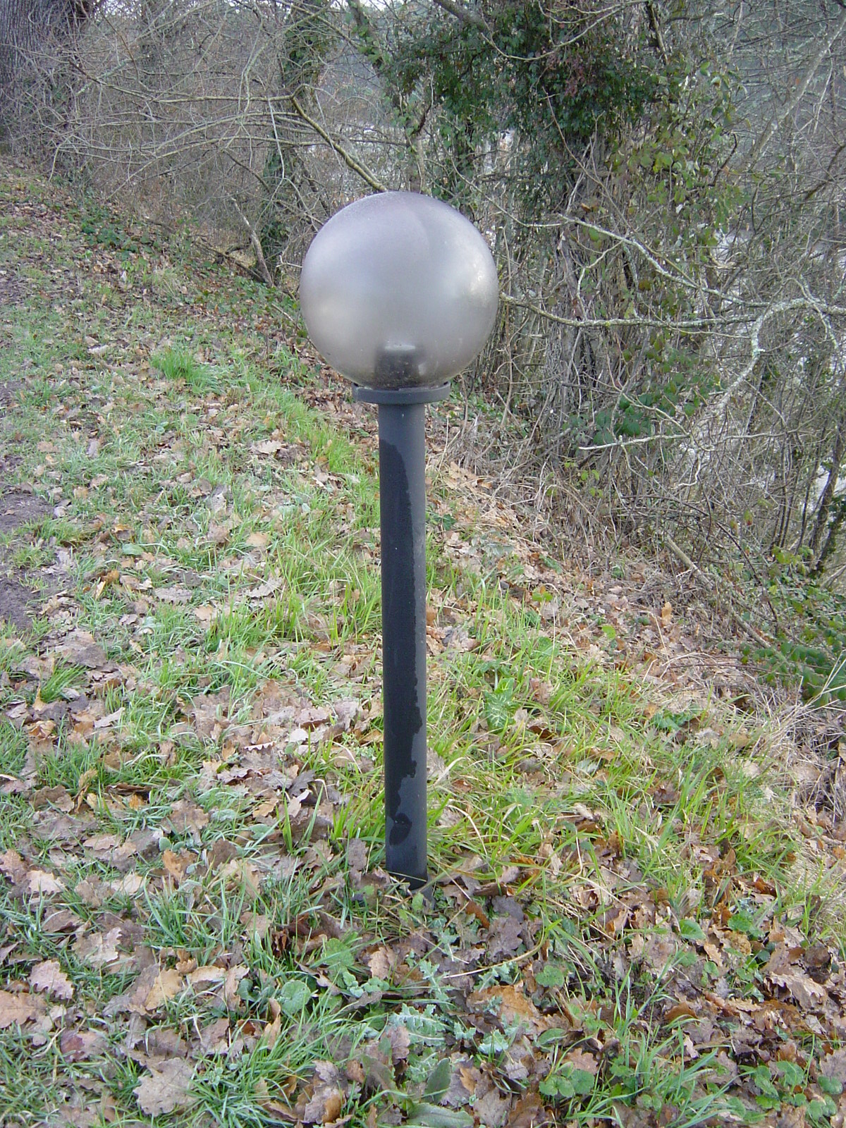 Dsc01085