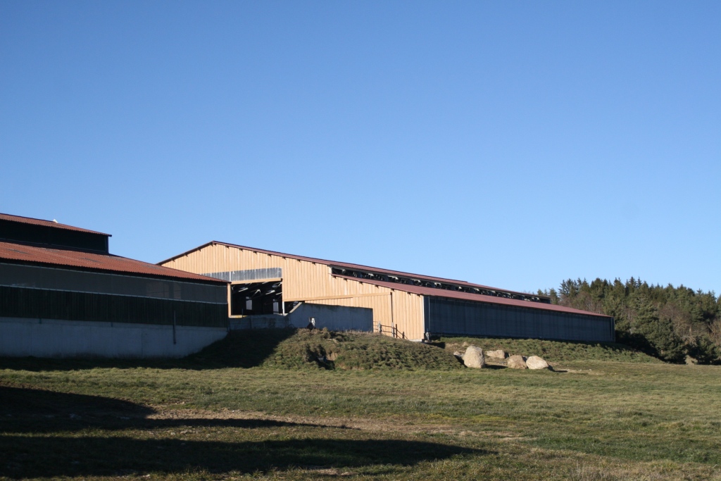 Batiment genisses stockage 4