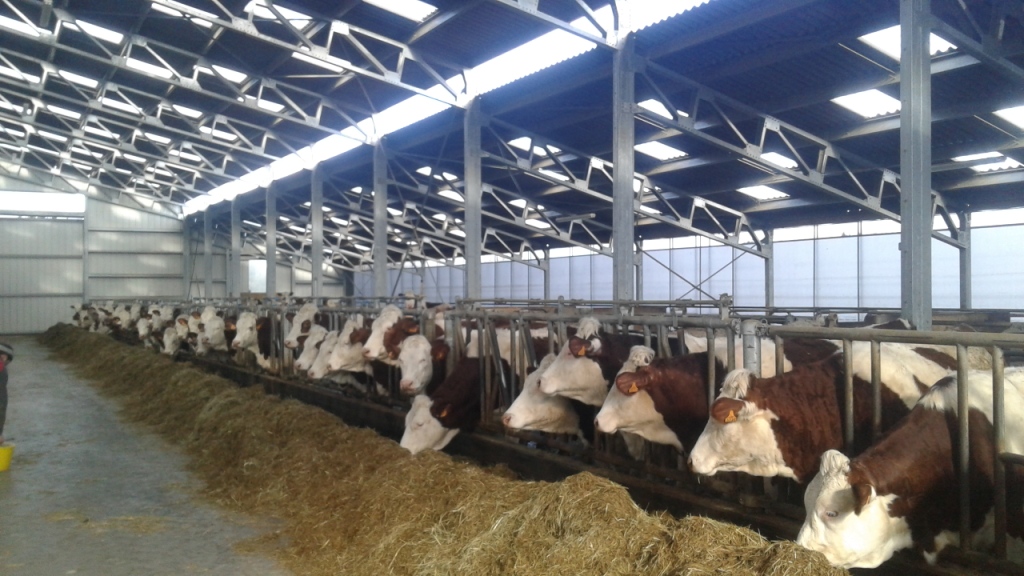 Batiment genisses stockage 5 5