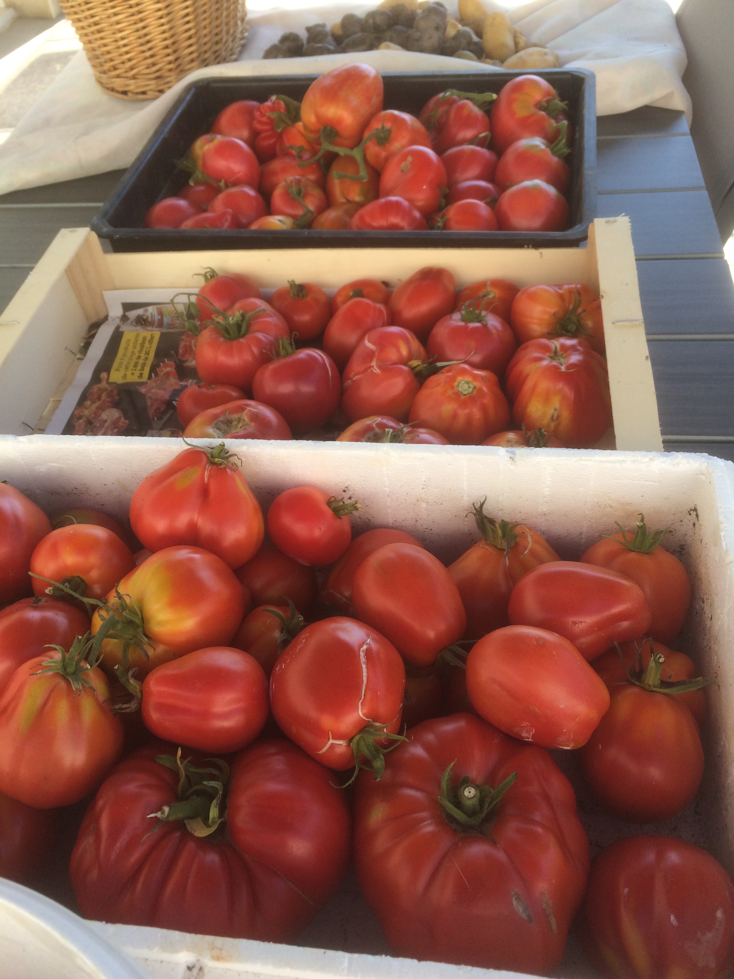 Cageots tomates