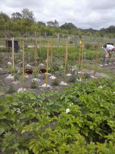 Plantations