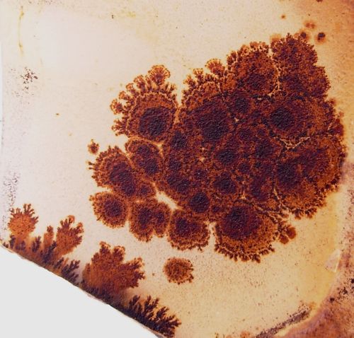 Layered dendrite